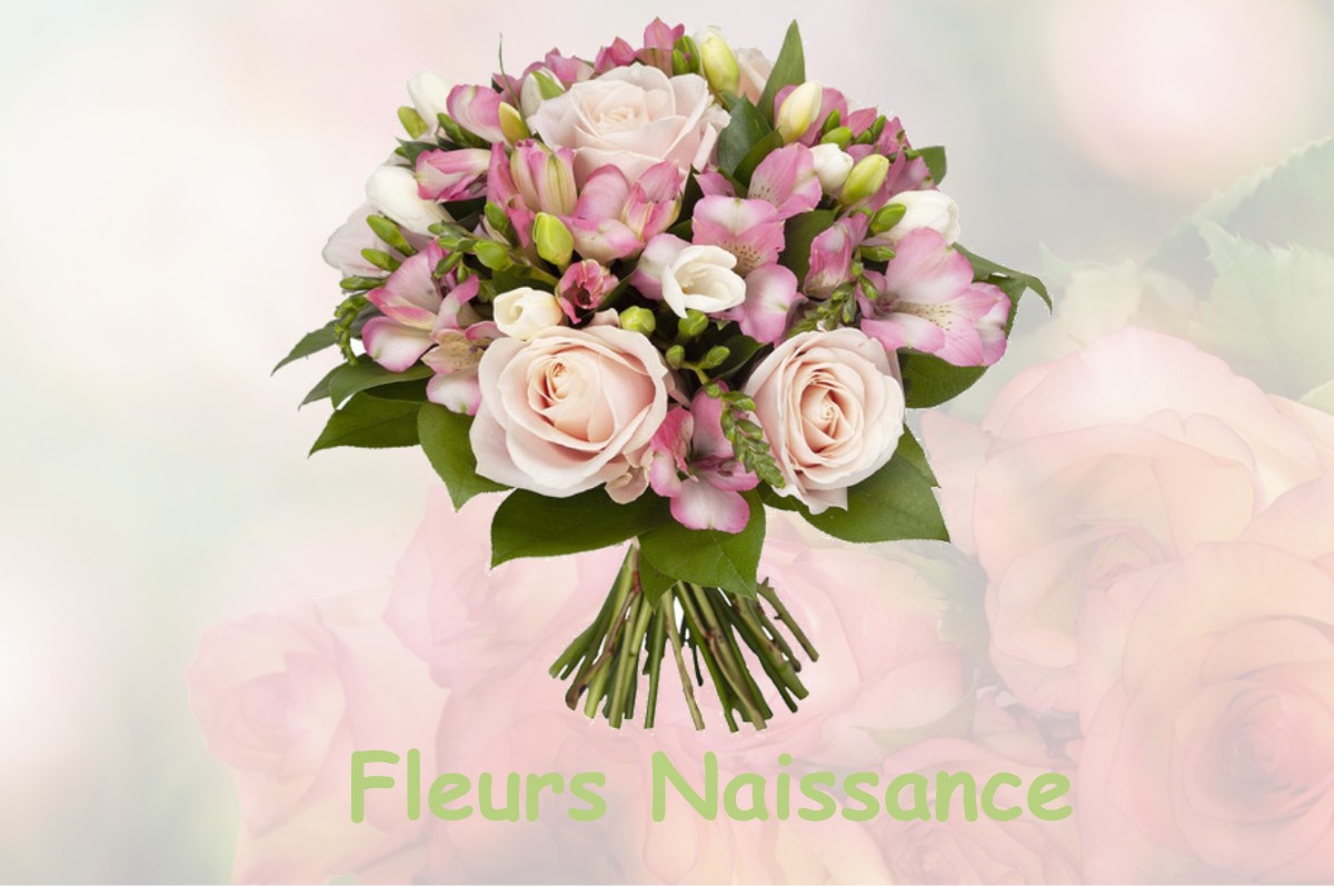 fleurs naissance RAMBUCOURT